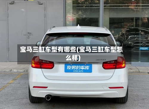 宝马三缸车型有哪些(宝马三缸车型怎么样)